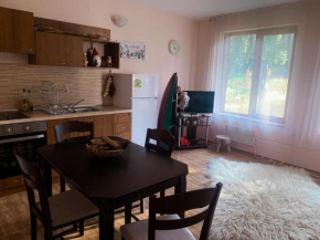 Evrika home 19